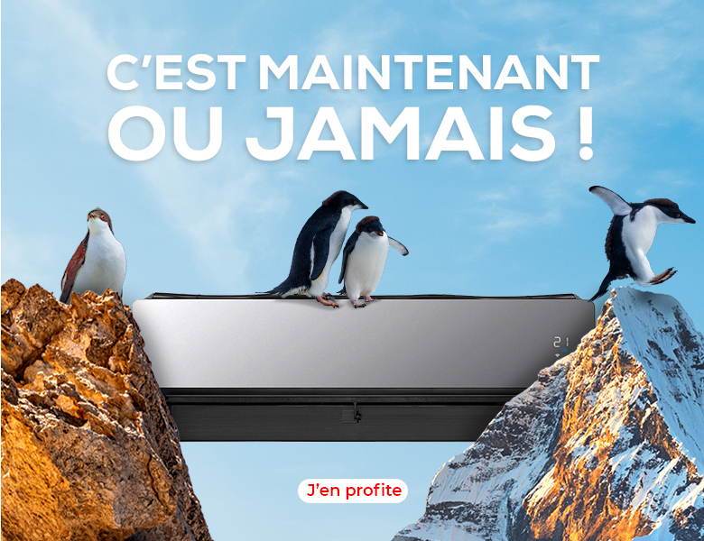 Climatiseur